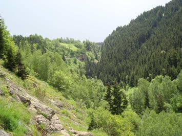 Çartulet