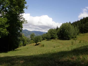 Nakoğara