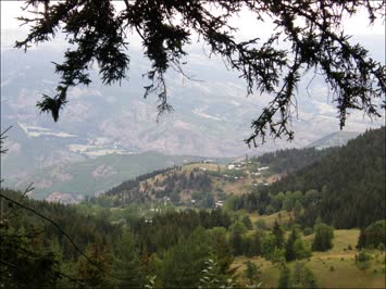 Çerult yolu...