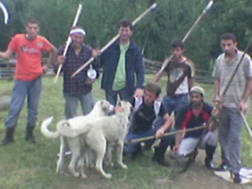 GENÇLER ÇAYIRA GİDERKEN