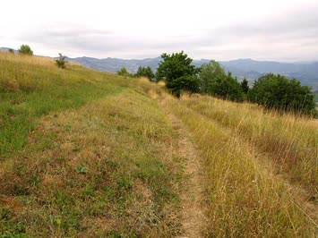 Cimoroğoz