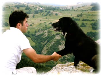 Sadık Dostum ve Ben