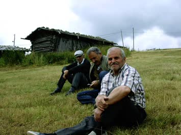 suat çelik