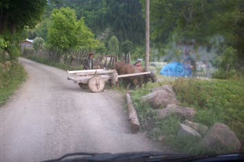 Meydancık İvet