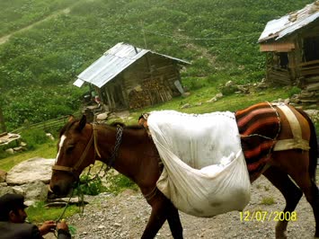 Kocabey Yaylası