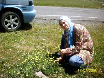 Ardahan Yolunda Nego Topluyoruz
