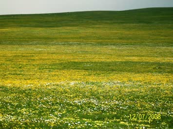 Cengelek Yolu-Cennet