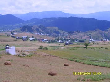 suat çelik 2008 