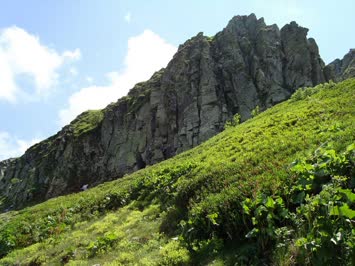 Suatan Kaya