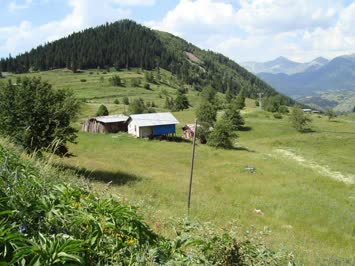 Şavket Taşlıbayır