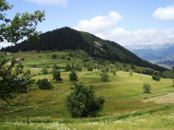 Taşlıbayır