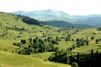 pirtapil