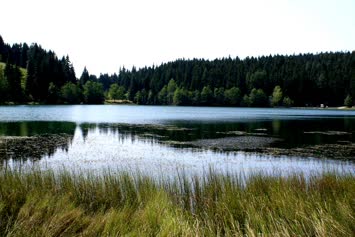 Karagol