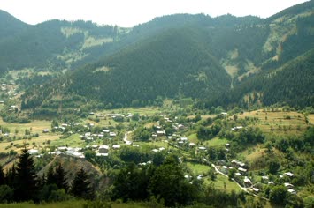 merya 