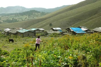 taşlı yayla