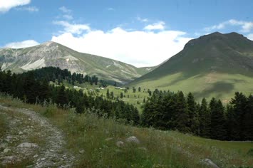 susuz kışla
