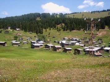 Kisla
