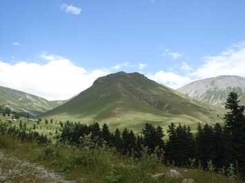 gülgülüpert