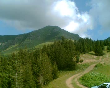 Doyumsuz Güzellik