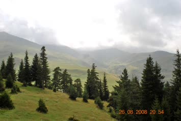 Çartulet
