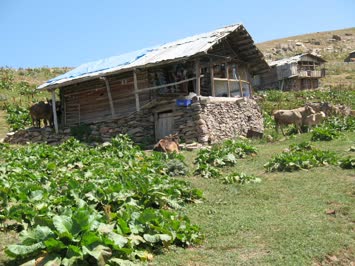 Rahmetli Derviş dedemin yayla evi