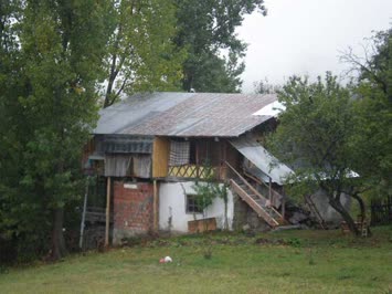 Sinkot