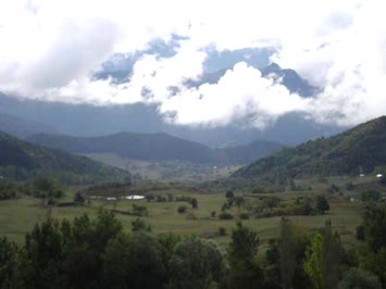 Sinkot