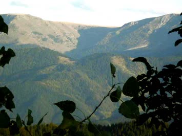 Sinkot