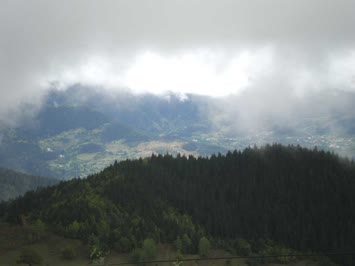 Sinkot