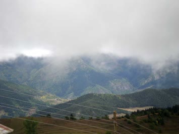 Sinkot