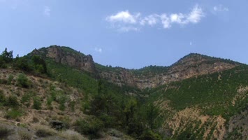Ustamis