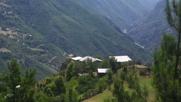 Ustamis