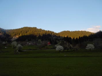 bahar kartal