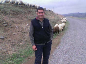 Gürsoy Gülcan