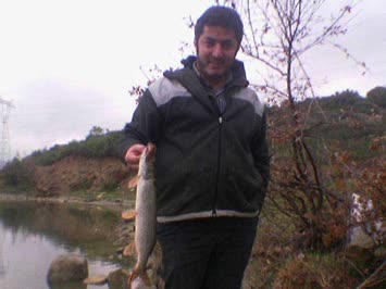 Gürsoy Gülcan