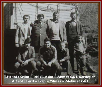Samcelli Murteza Gül Törekleri :)