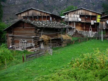 Cinal