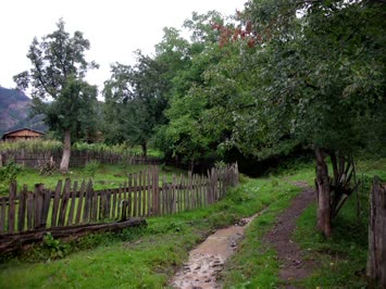 Cinal