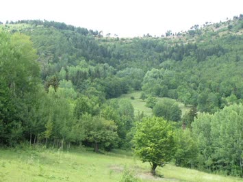 sannet