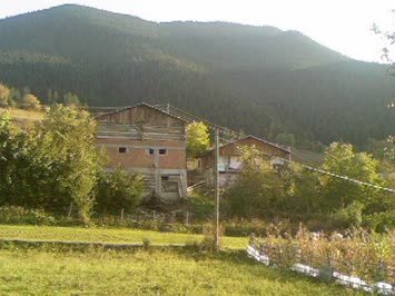 Zendeba