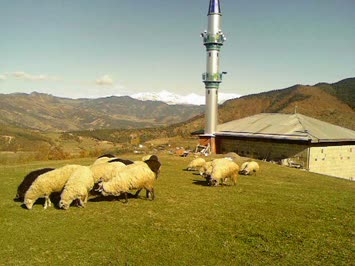 Zendeba