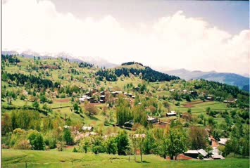 Süles