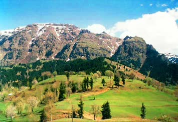 Süles