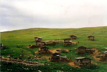 Süles