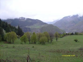 Enkevra