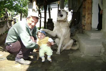 seslavur