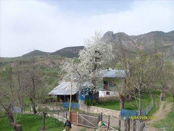 Cami Mahallesi