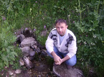 Seslavur