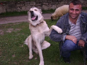 Süleyman Yazar