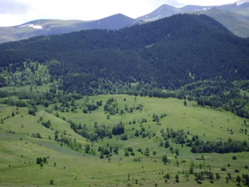 Seslavur - Süleyman Yazar